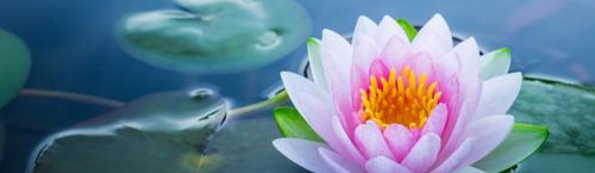 Reiki : di cosa si tratta?